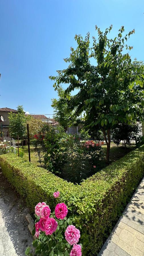 Js House Shkoder 2 Daire Dış mekan fotoğraf